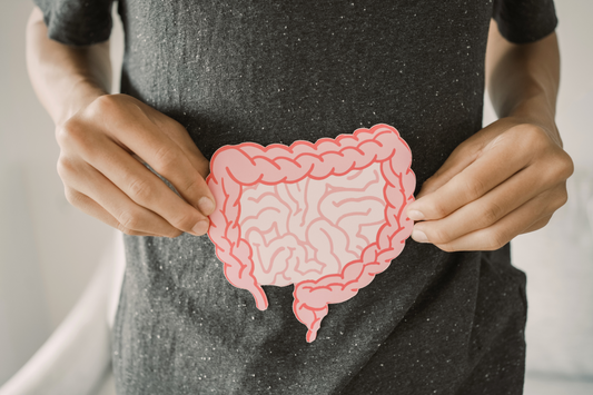 Unlock Vibrant Health: Why Gut Well-Being & Parasite Cleanses Matter